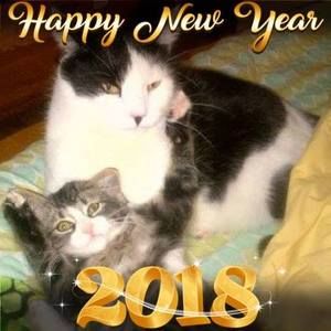 Meet your Posher, Lindsay